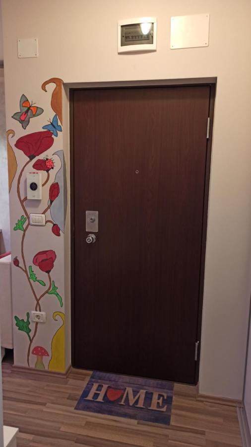 Cozy Home Bujorilor Timişoara Buitenkant foto